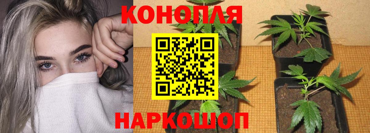 МАРИХУАНА ГИДРОПОН  Шишки марихуана индика  Бошки Шишки планчик  Вход с VPN  МАРИХУАНА AK-47  Нефтеюганск 